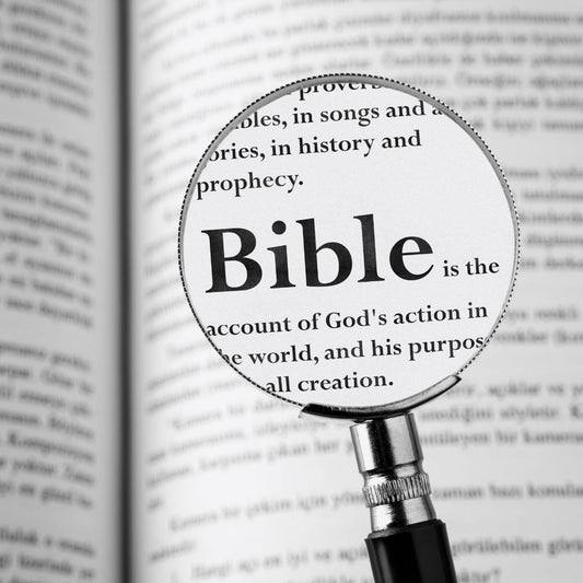 Bible logic games