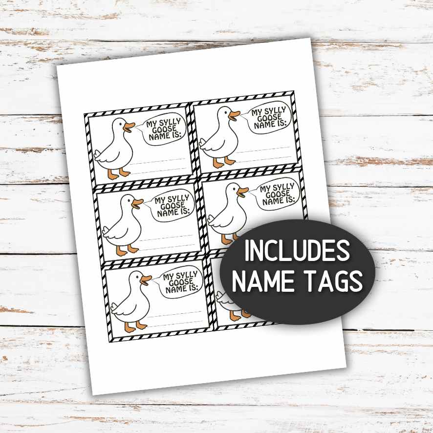 what's your silly goose name